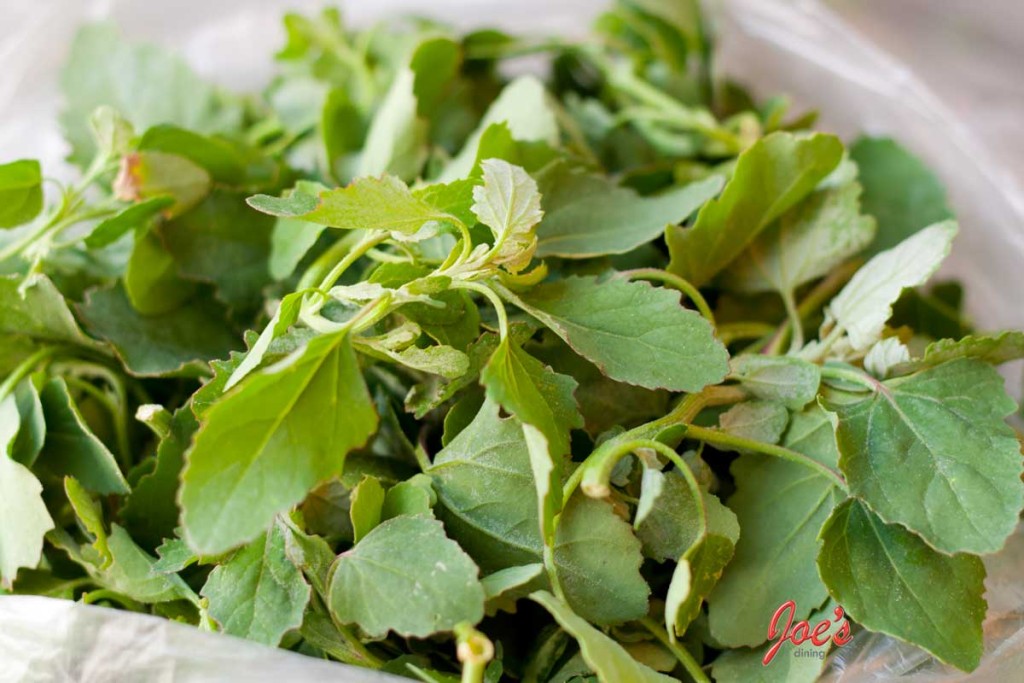 Hazte una deliciosa sopa prehispánica de quelites Más de México