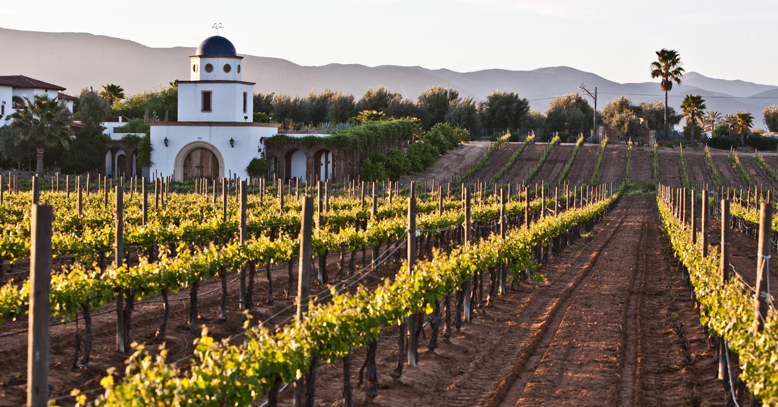 Resultado de imagen para valle de guadalupe baja california