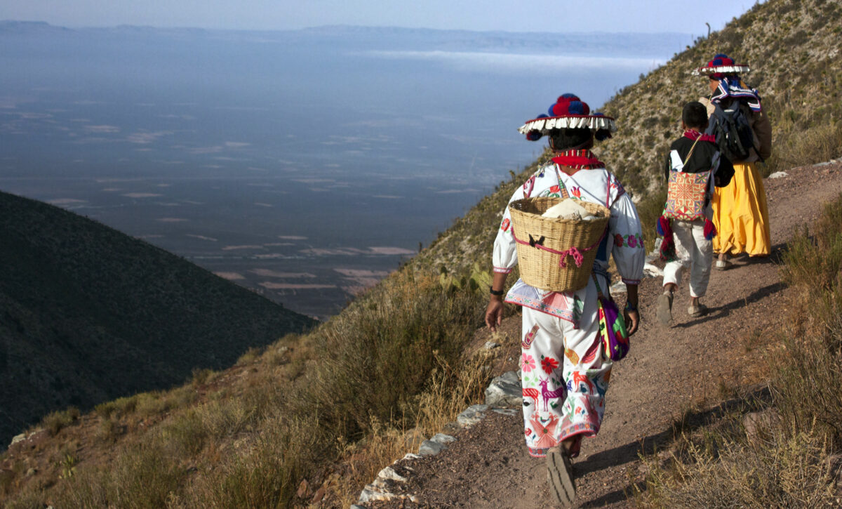 wirikuta, tierra sagrada de los huicholes san luis potosi