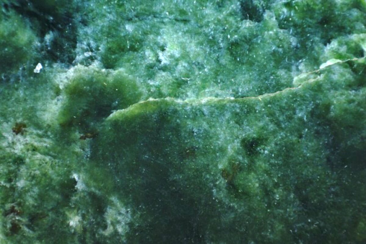 Minerales de México