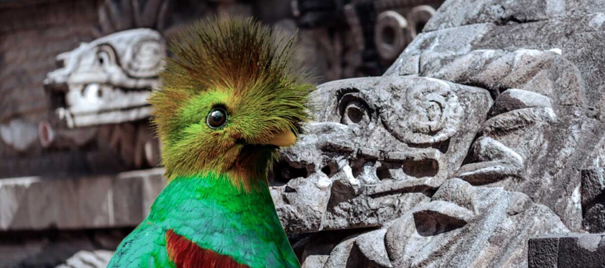 animales-sagrados-mexico-mexicanos
