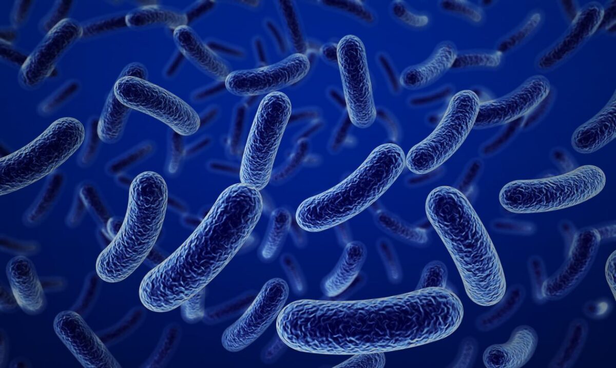 tela antibacterias creada mexicanos