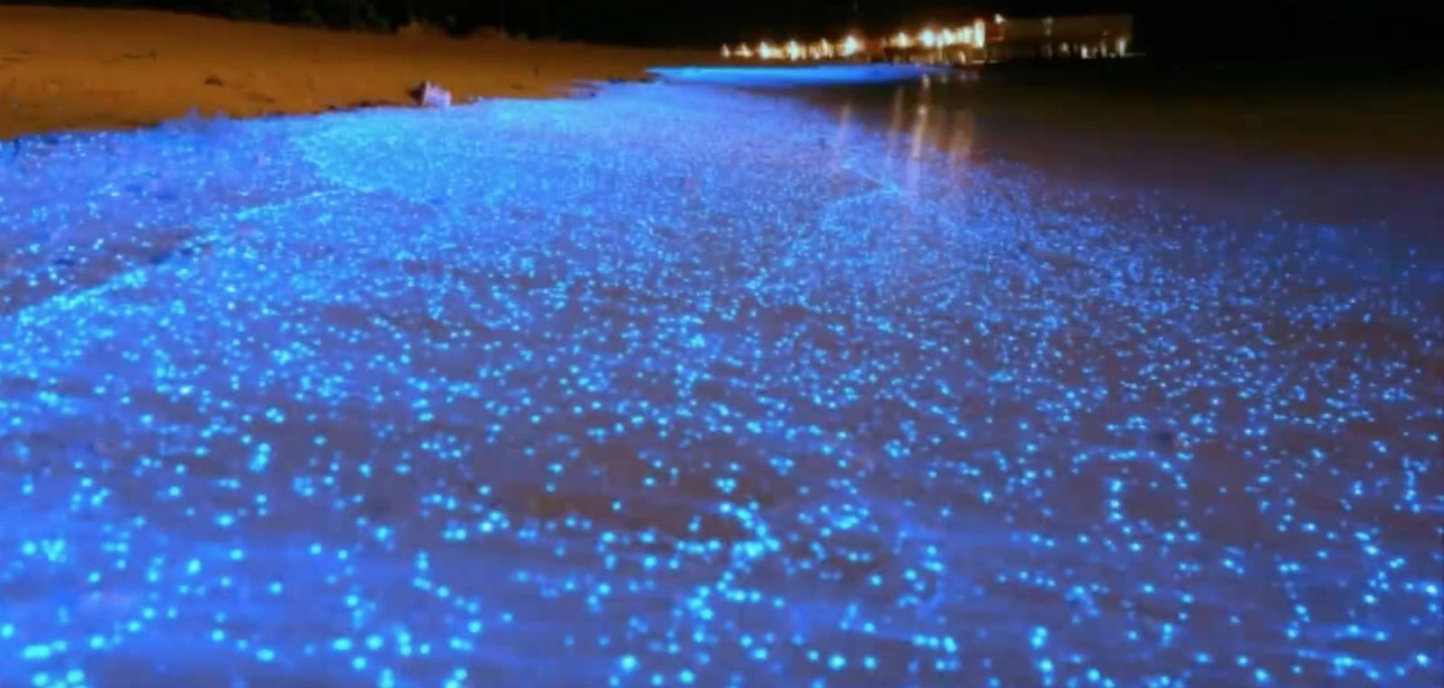 5 playas bioluminscentes de México