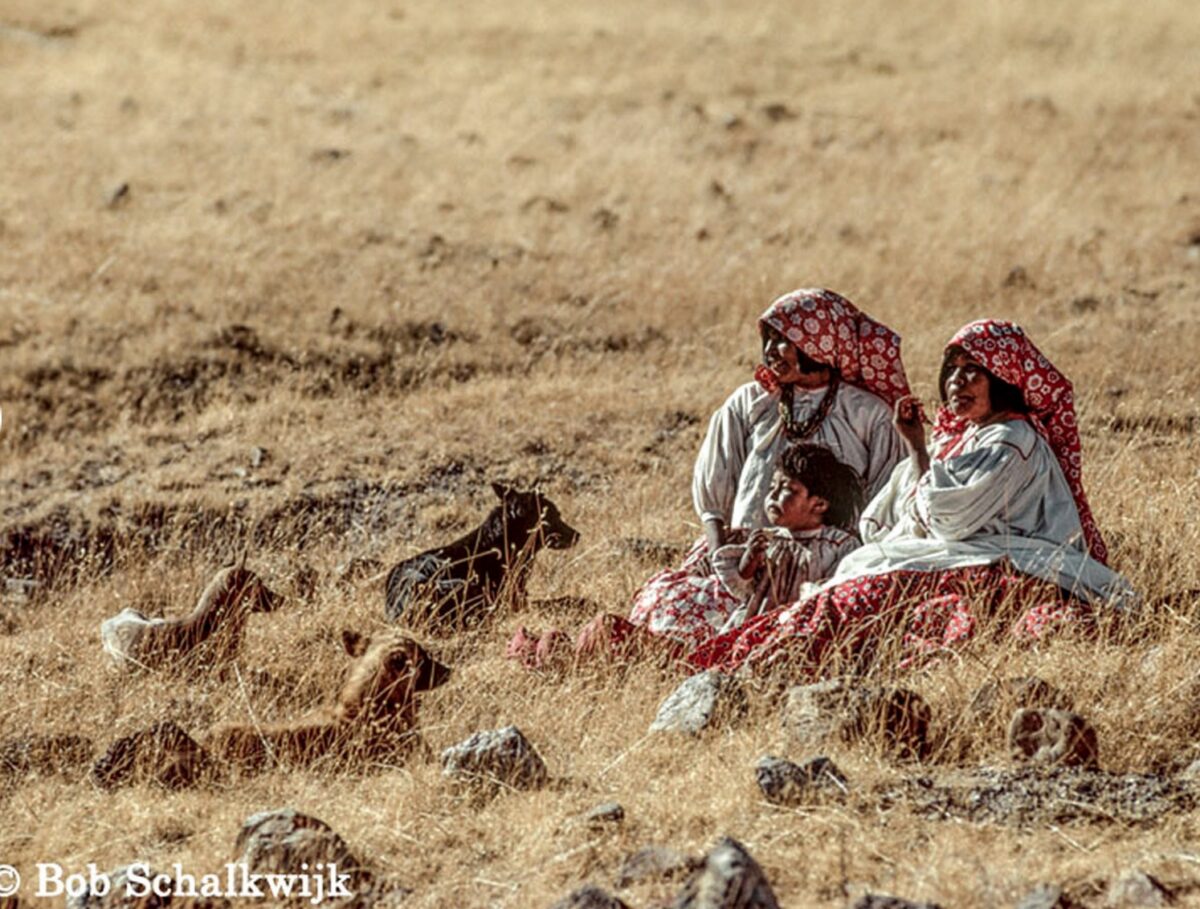 Bob Schalkwijk tarahumara