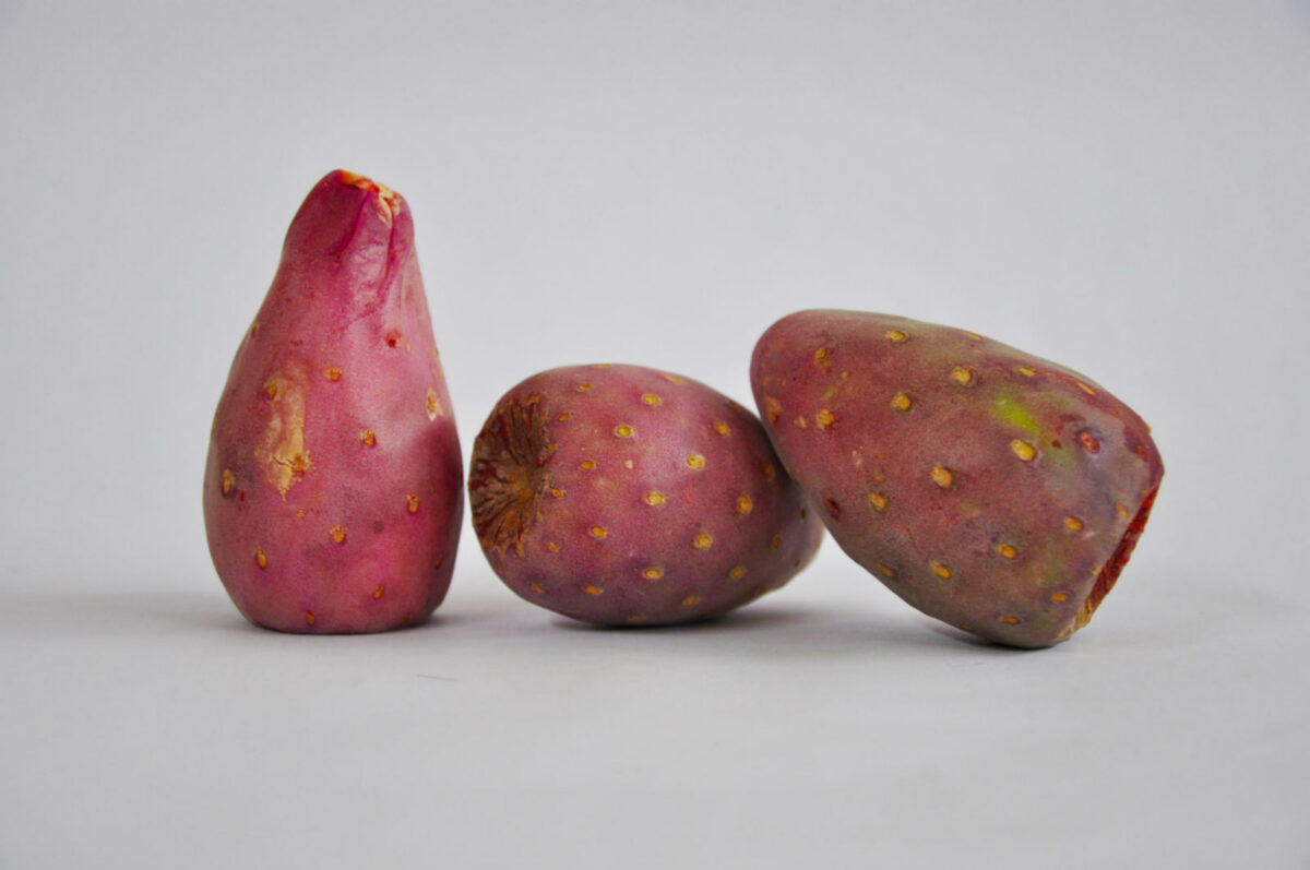 xoconoztle botanas