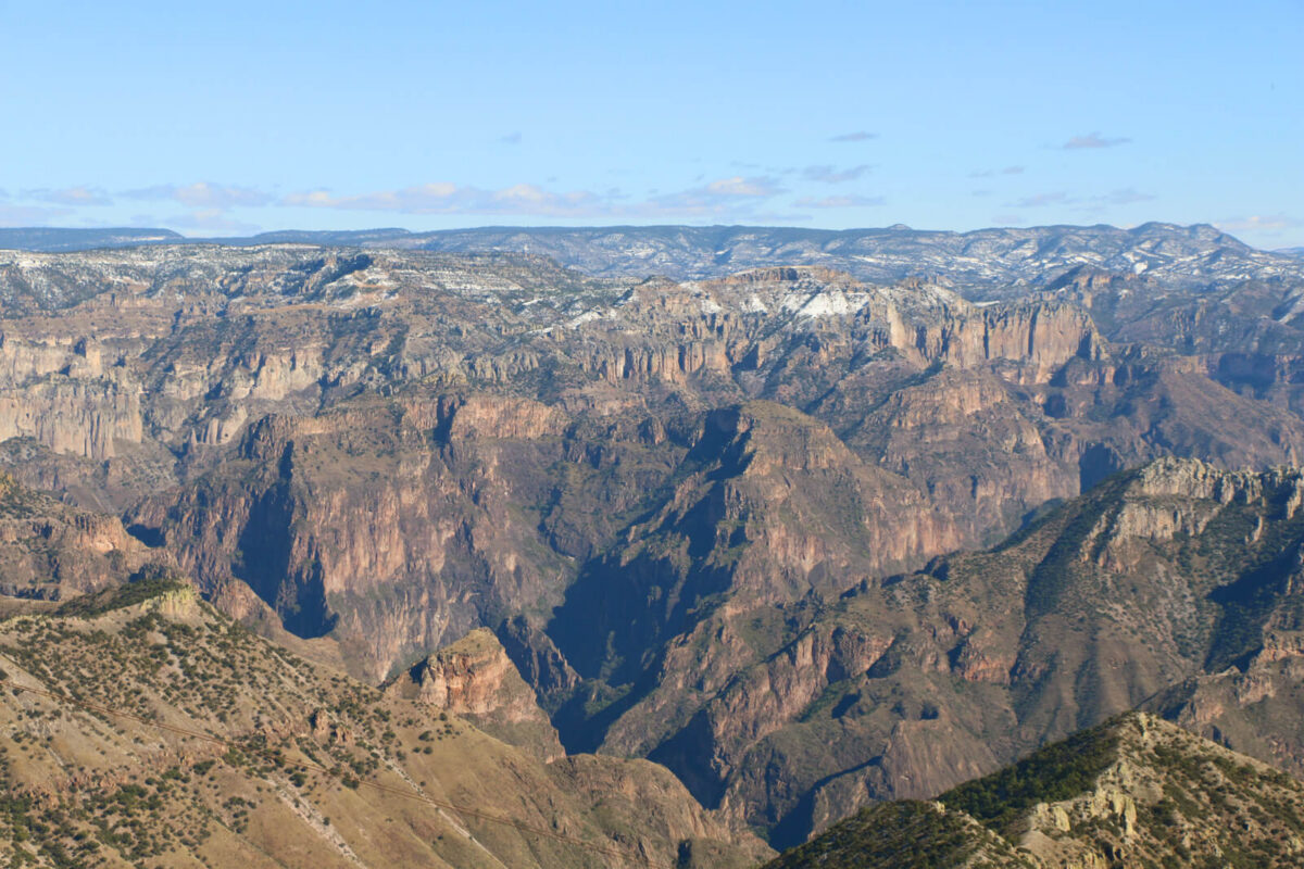 yerbas tarahumara