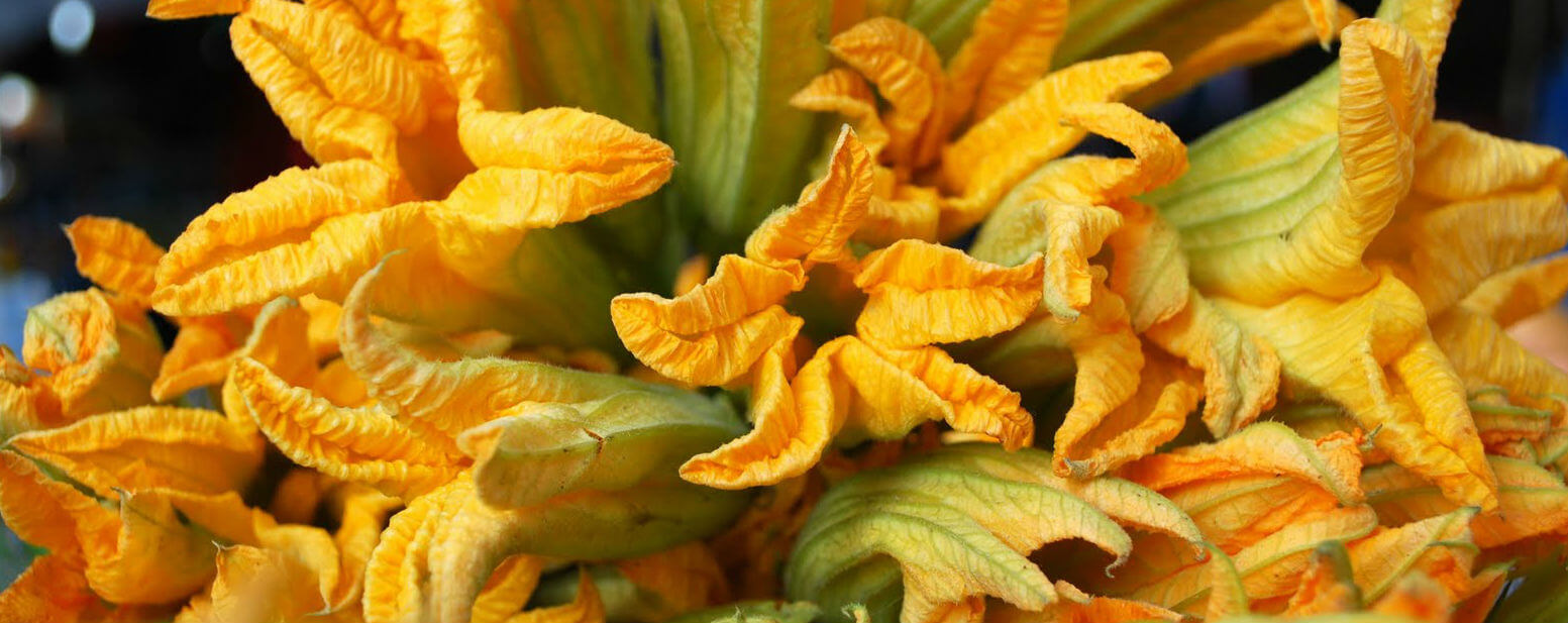 Tlemole de flor de calabaza (Receta) - Más de México