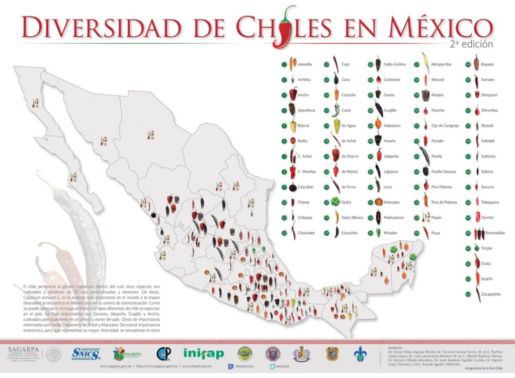 diversidad de chiles, chile seco, chile mexicano