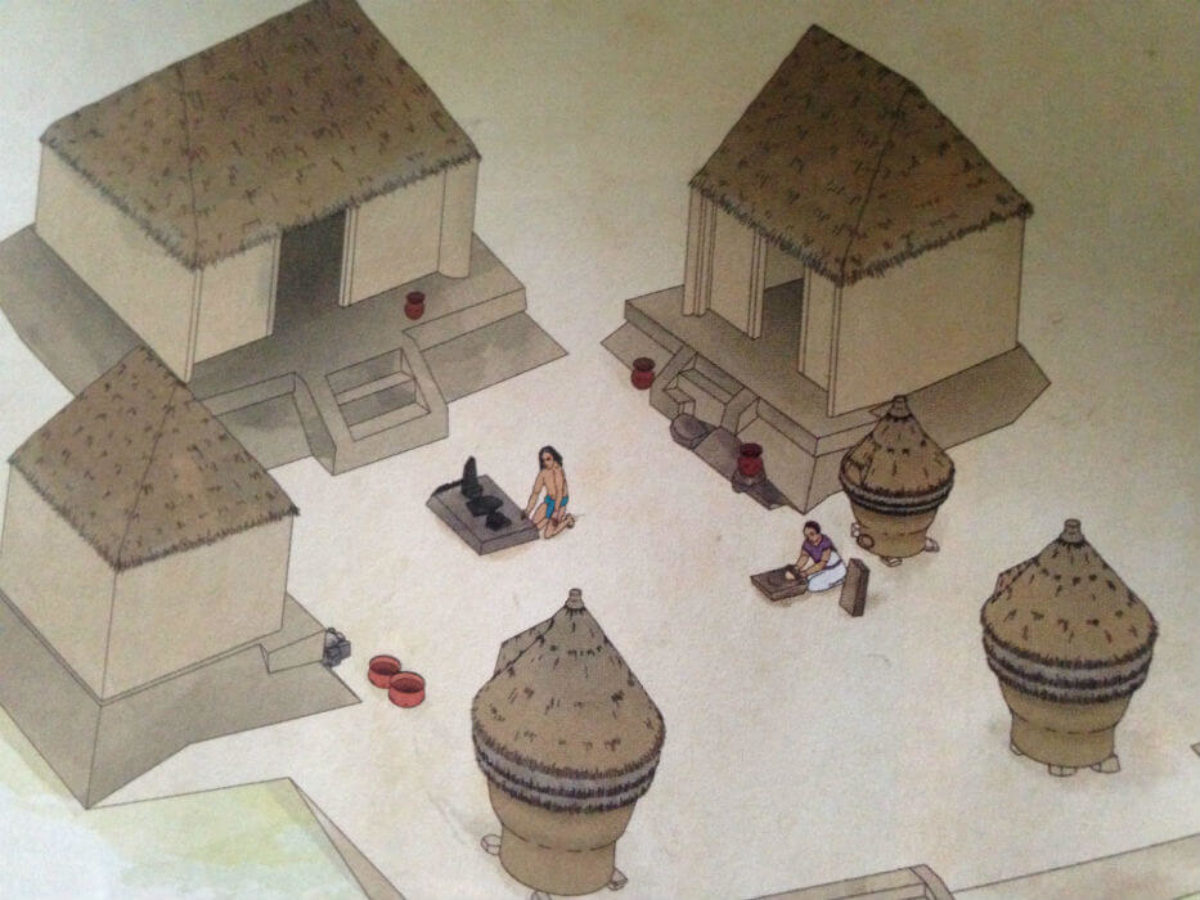 Sabías que las casas prehispánicas tenían también un patio en medio? - Más  de México