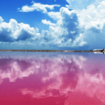 el-improbable-y-asombroso-lago-rosa-de-yucatan-fotos