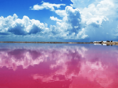 el-improbable-y-asombroso-lago-rosa-de-yucatan-fotos