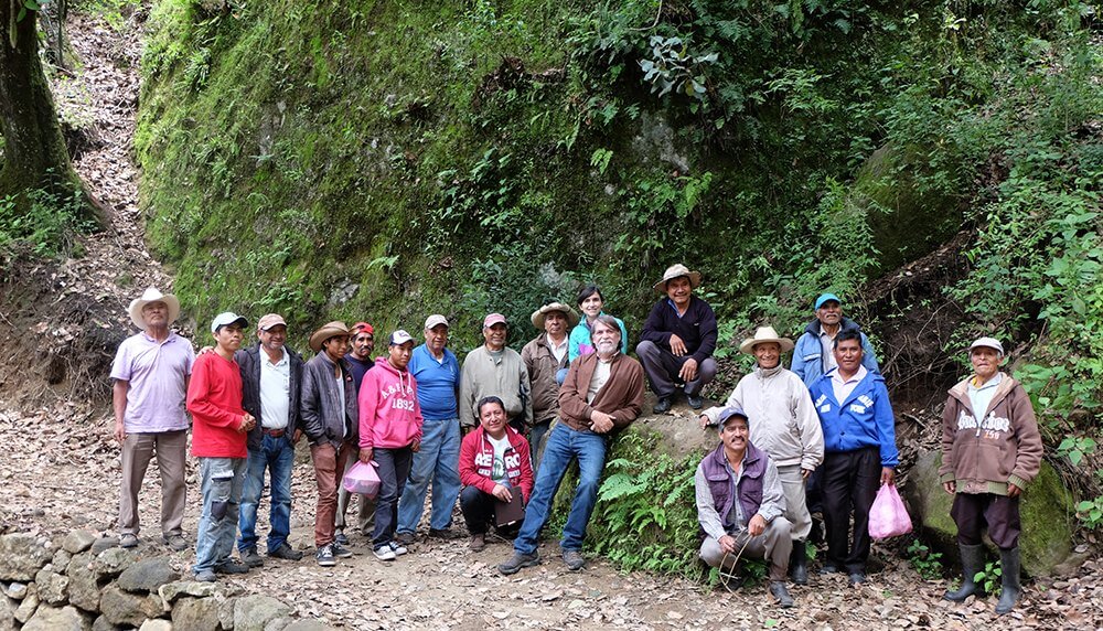 Los bosques de Mexico tienen en las comunidades a sus mejores aliados- 3 historias