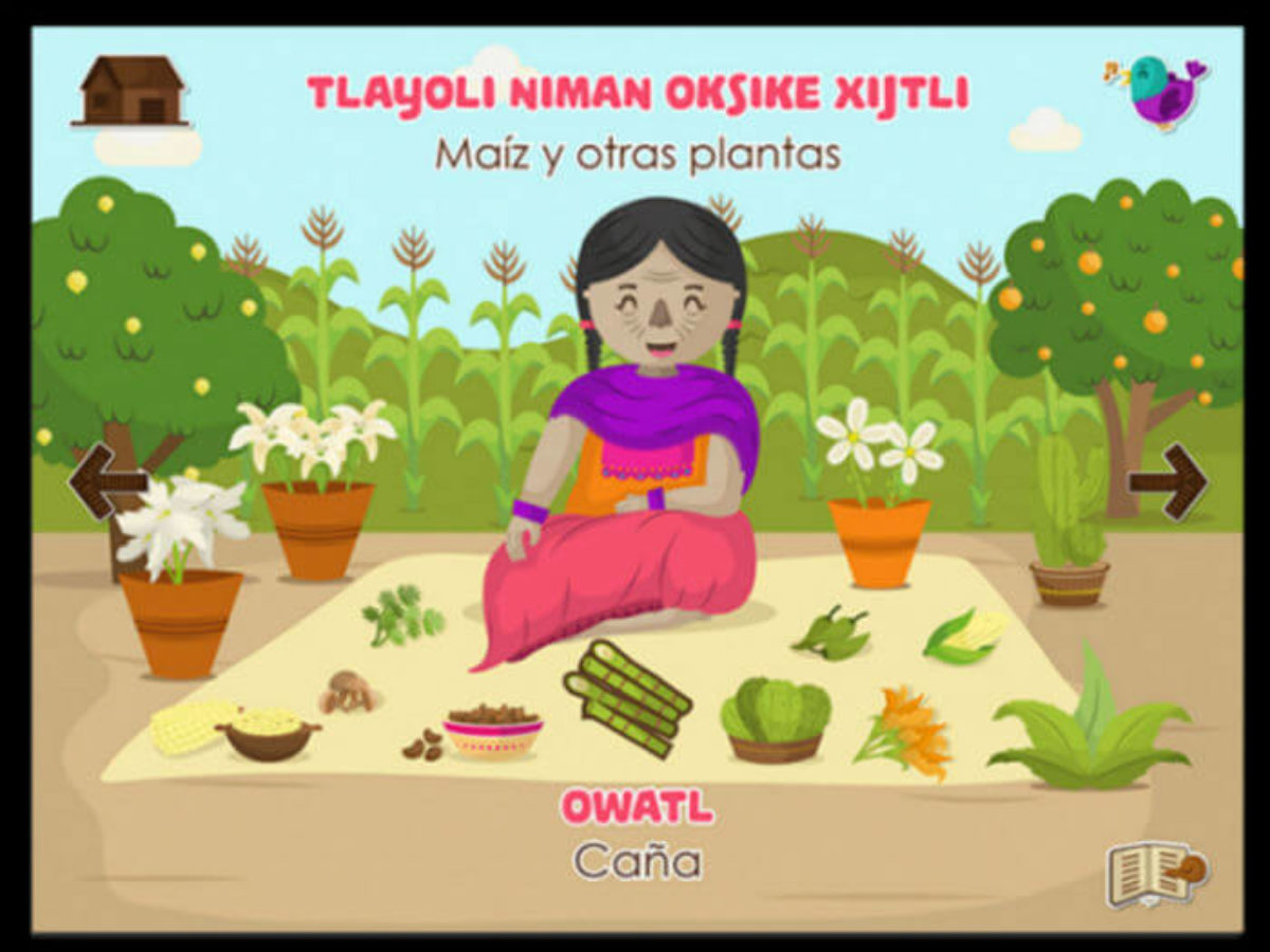 Esta app está enseñándole al mundo a hablar náhuatl, mixteco y purépecha -  Más de México