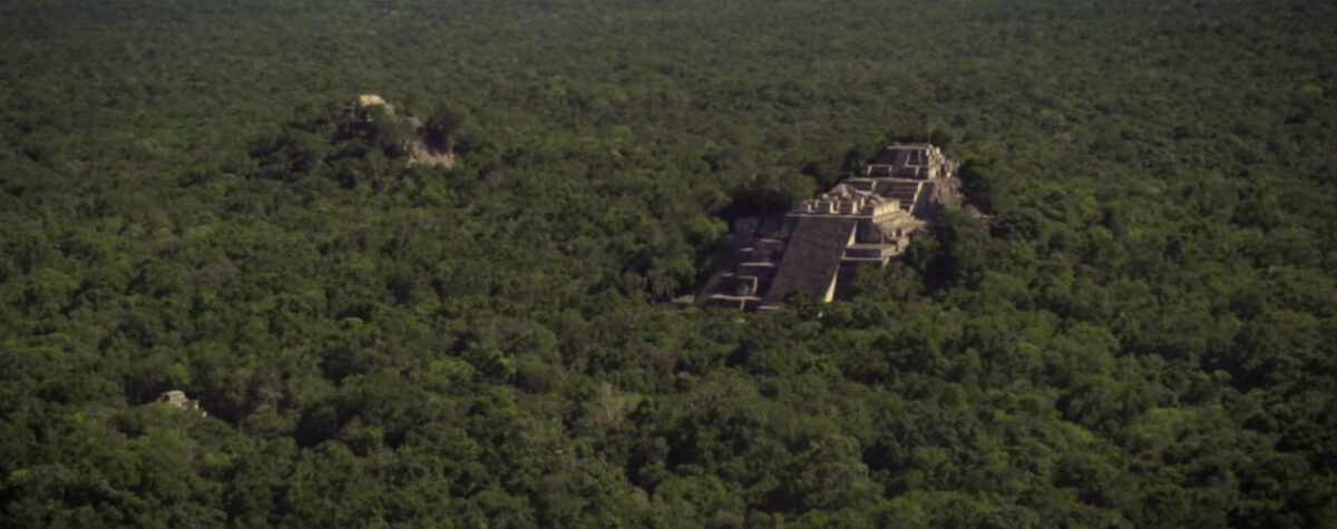 eserva biosfera calakmul selva mexico