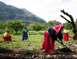 diversidad cultural biologica mexico ecosistemas