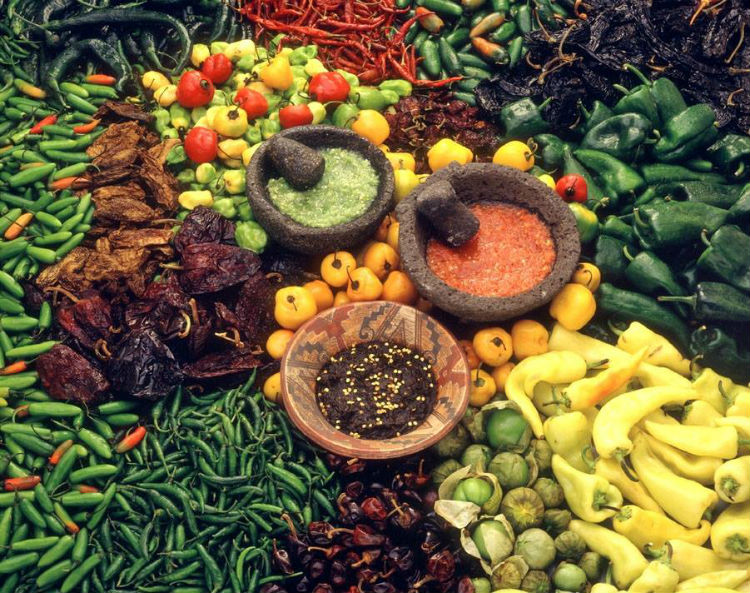 Manual alquímico de salsas mexicanas un recorrido por las especies más