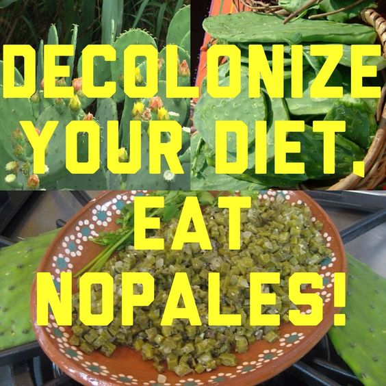 decoloniza-tu-dieta-comida-prehispanica