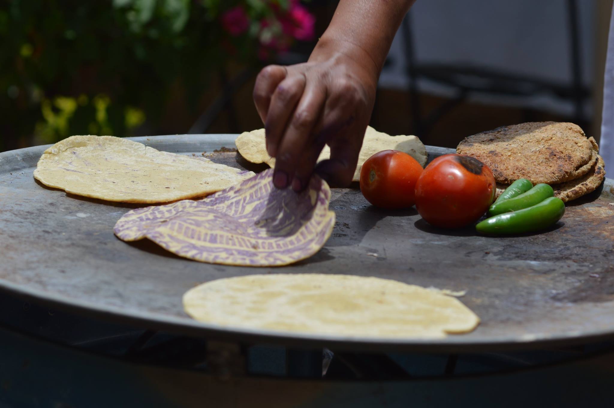mexico-tortilla-tortillas-nixtamalizadas-industriales-diferencias-beneficios-patrimonio