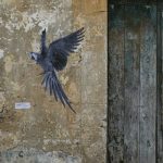 mexico-animales-especies-peligro-extincion-amenazados-mexicanos-endemicos-arte-graffiti-callejero