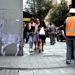 mexico-animales-especies-peligro-extincion-amenazados-mexicanos-endemicos-arte-graffiti-callejero