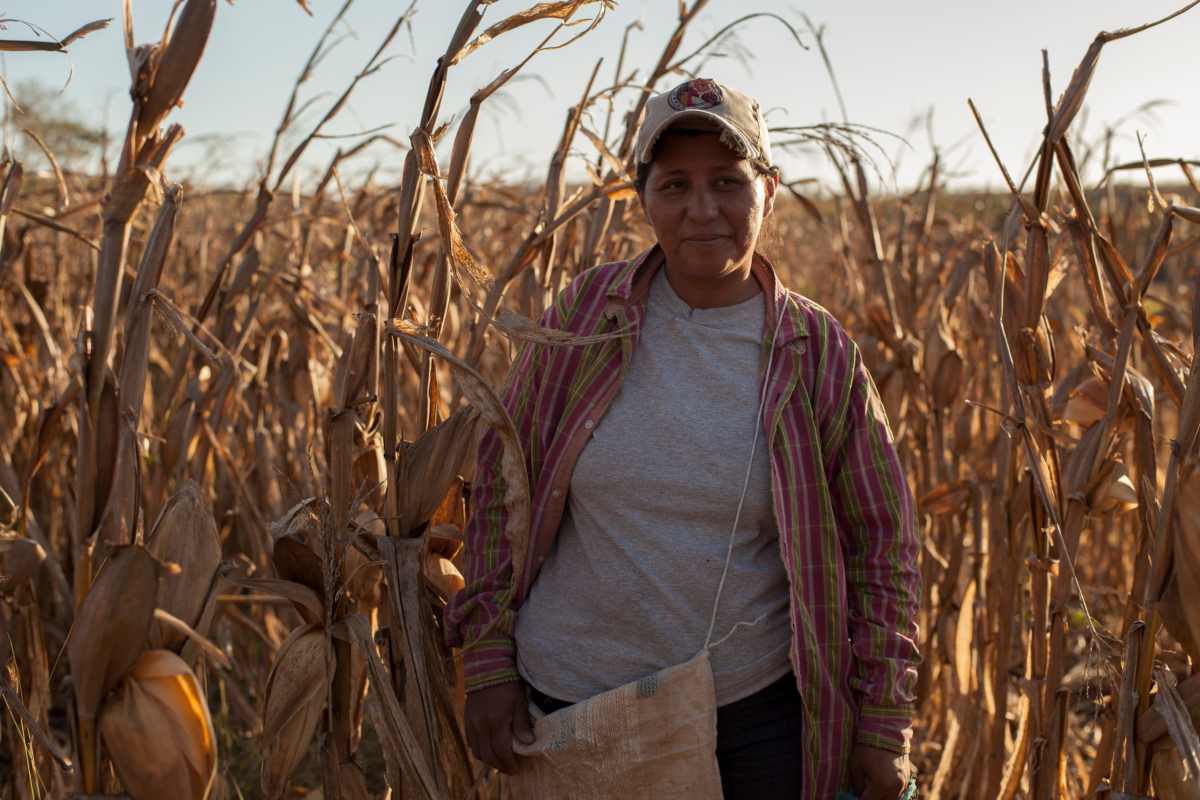 Campesinos mexicanos: los guardianes de nuestro vínculo con la tierra ...