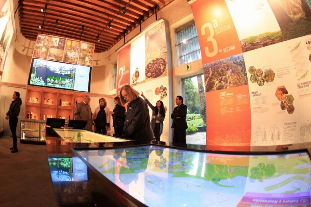 bosque-chapultepec-museos-actividades-museo-sitio