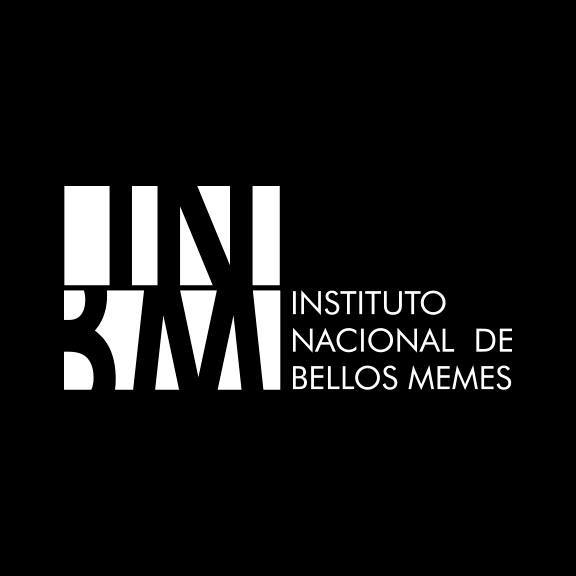 memes-mexico-mexicanos-instituto-nacional-bellos-memes