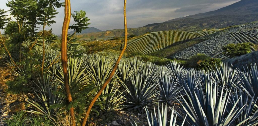 visit-mexico-turismo-planear-viaje-guia-reservar-hoteles-experiencias