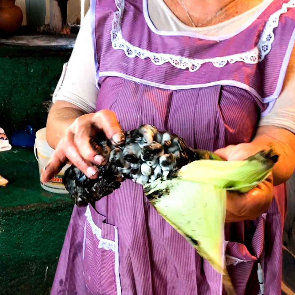 de-mi-rancho-a-tu-cocina-youtuber-cocinera-tradicional-abuela