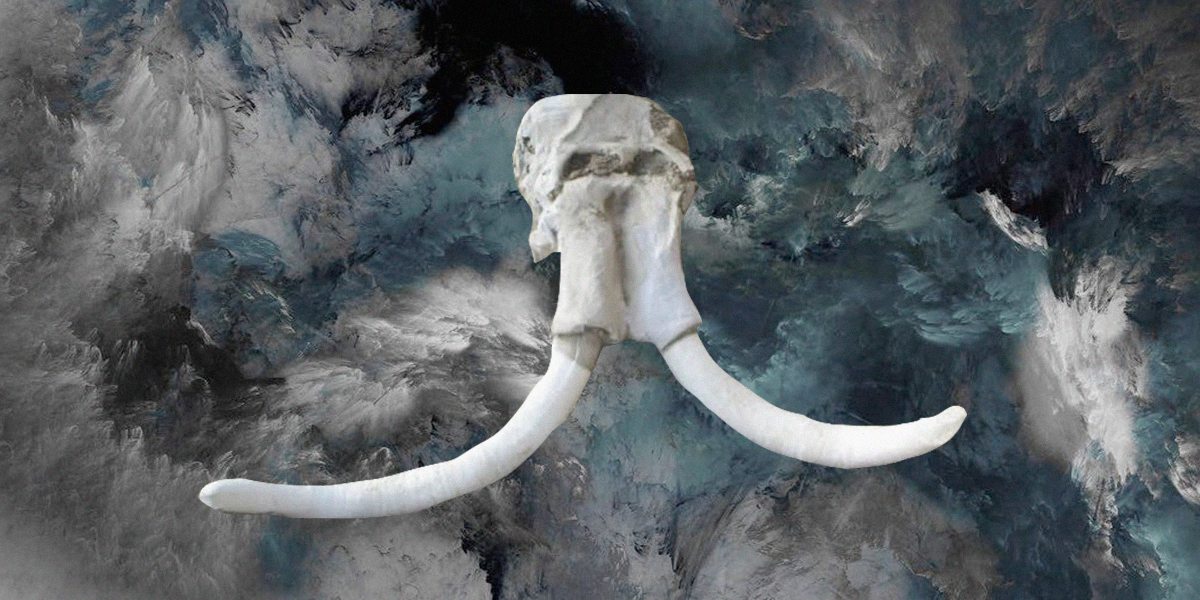 mega-sitio-mamuts-mexico-fosiles-descubrimiento