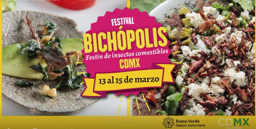 festival-gastronomico-insectos-comestibles-mexicanos