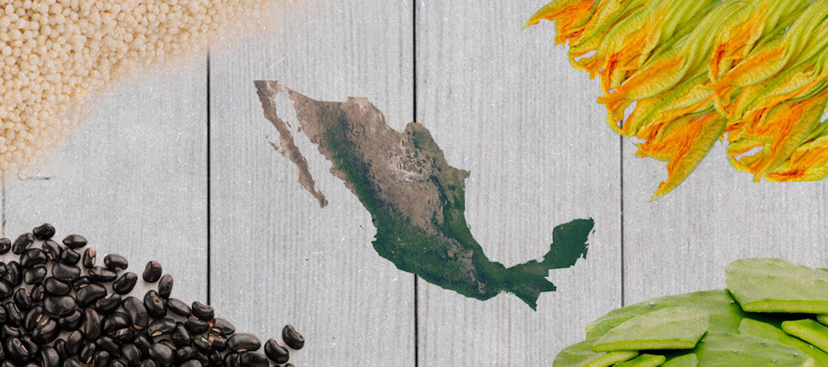 alimentos-futuro-mexicanos