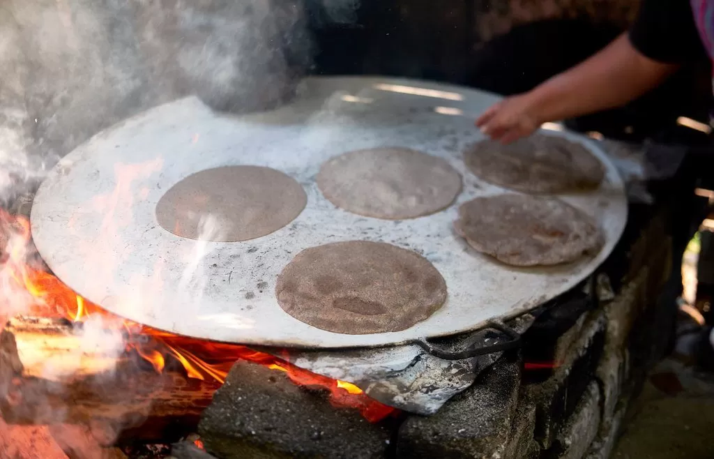 tortilla-mexicana-ong-maiz-nativo-transgenico-defensa-firma-peticion